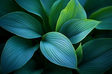 Poster - Lush green leaves with prominent veins, close-up view showing texture and color variations.