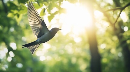 Aufkleber - A small bird in flight, wings outstretched, against a sunlit green forest background.
