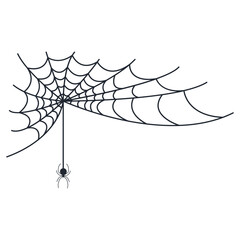 Hand Drawn Halloween Spider Web. Vector Illustration Isolated on White Background