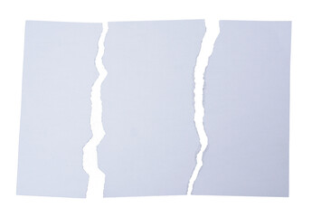 A torn piece of white paper into three parts on isolated transparent background