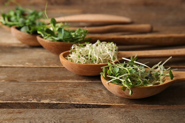 Wall Mural - Spoons with different micro green on wooden background, closeup