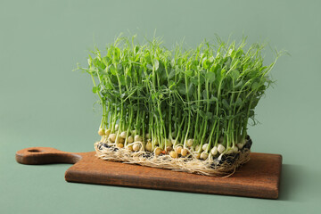 Wall Mural - Wooden board with micro green pea sprouts on color background