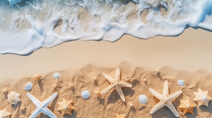 Aerial perspective of a sandy beach with scattered seashells and starfish, their natural textures highlighted by the sun. Soft golden sands and gentle waves provide the perfect backdrop