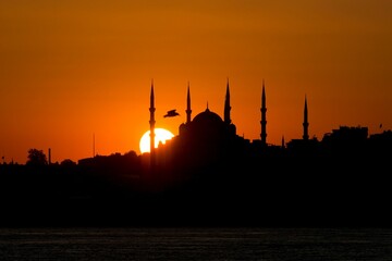 Wall Mural - A silhouette of the Blue Mosque at sunset in Istanbul with a bird flying by.