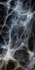 Poster - This mesmerizing image captures an intricate web of delicate fibers set against a dark background, creating an ethereal and haunting atmosphere.