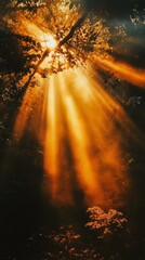 Poster - Experience the enchanting beauty of sunlight filtering through a mystical forest, creating an ethereal atmosphere filled with warm golden rays.