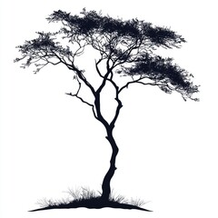  Majestic Tree Silhouette