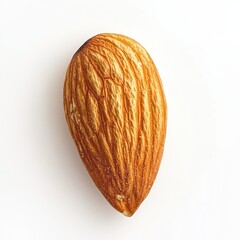Poster - Single roasted almond with golden hue on a clean white background showcasing natural texture and color