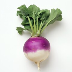 Poster - Fresh turnip with purple and white skin and vibrant green leaves on a white background