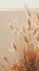 Canvas Print - Nature plant grass wheat.