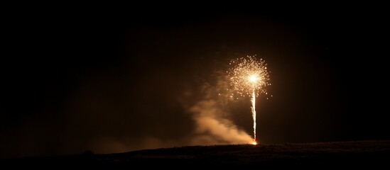 Canvas Print - Night spectacle: Golden Fireworks illuminating the dark sky