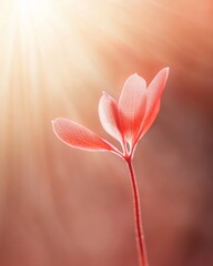 Poster - Delicate Seedling in Radiant Golden Sunlight