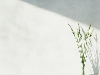 Canvas Print - Minimalist Still Life with Green Grass and Soft Shadows on White Background