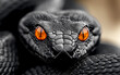 © Bonya Sharp Claw - A black snake with red eyes and a black body