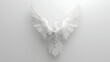 © visual artstock - White dove, wings spread, minimalist background, freedom concept, design element.