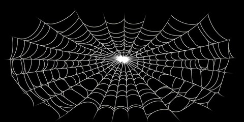 Poster - This image showcases a detailed spider web against a black background, highlighting its intricate patterns and delicate filaments, symbolizing nature's artistry.