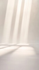 Poster - Gentle sunlight casts soft patterns on a minimalist white wall, creating a serene and peaceful atmosphere.