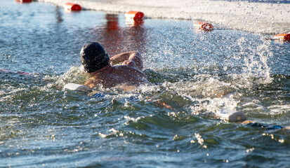 Wall Mural - A man is swimming in a pool with a white board