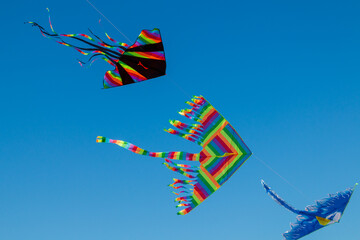 colorful kites fly pushed by the wind in a clear sky