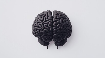 Poster - Realistic Black Brain Model on White Background for Education and Science