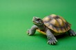 © MUdaylah - toy turtle realistic on green background. banner. copy space. place for text. world turtle day. environment protection