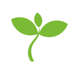Wall Mural - plant seedling icon. eco friendly symbol. spring green plant icon isolated on transparent background