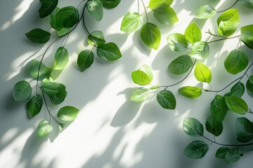 Poster - Lush green leaves gently hang against a soft background, projecting calming shadows that evoke a sense of tranquility and connection with nature
