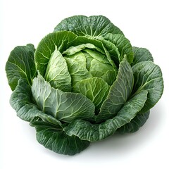 Wall Mural - cabbage vegetable isolated on white background with shadow. leafy green lettuce on white bg. organic and healthy cabbage full of vitamins