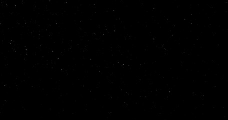 Wall Mural - Natural Organic Dust Particles Floating On Black Background. Dynamic Dust Particles Randomly Float In Space. Shimmering Glittering Dust Particles With Bokeh. Slow motion on Black Background.