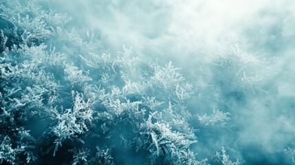 Wall Mural - Frozen Forest, Winter Wonderland An Aerial View of Snow-Covered Trees in Misty Blue Tones