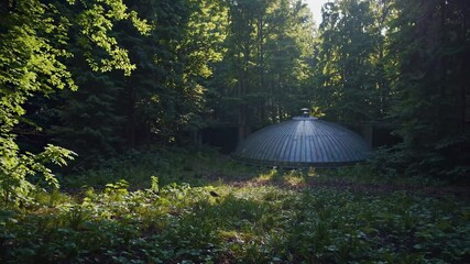 Aufkleber - Exploring a secluded forest hideout surrounded by tall trees and lush greenery during a sunny afternoon