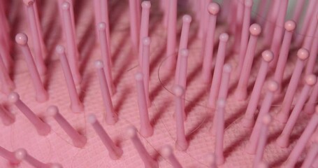 Fototapete - A pink brush with many bristles