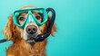 © Mosaic Mind - Charming Golden Retriever Equipped with Scuba Mask and Snorkel Ready for Underwater Adventure Against Blue Background