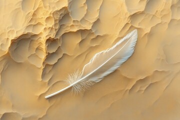Poster - Delicate feather rests on sandy terrain showcasing natural textures and soft contrasts. Generative AI
