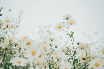 Poster - Abstract creative wallpaper with flowers made generative AI