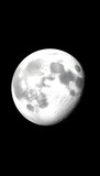 The moon view. Earth's natural satellite surface. 3d render with place for text, with white tones