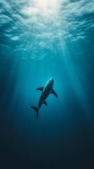 Poster - Great white shark swimming in the deep blue ocean, illuminated by sunbeams penetrating the surface, creating a dramatic and captivating underwater scene