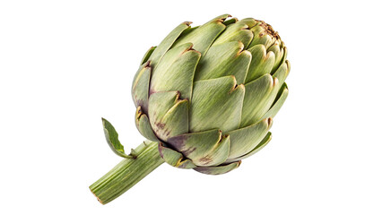 Artichoke isolated on transparent background