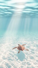 Poster - Sunbeams filtering through crystal clear turquoise water illuminate a serene underwater scene with a sea turtle gliding gracefully above a sandy seabed