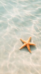 Aufkleber - Sunlight filtering through crystal clear shallow water illuminates a starfish resting on the rippled sandy bottom, creating a serene and captivating underwater scene