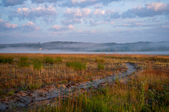 morning in the field