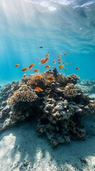 Aufkleber - Sunbeams filtering through rippling water surface illuminating orange fish swimming over a vibrant coral reef in a breathtaking underwater seascape
