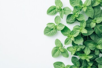 Canvas Print - Dried oregano leaves stacked on a white surface aerial perspective