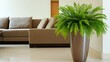 © PB Studio - decorative fern in a modern indoor planter, placed next to a minimalistic sofa in a clean, bright living room, adding a touch of greenery to the contemporary space. Fern