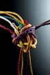 © WaterC - Threads of Connection: Diverse Strings Tied in Harmony