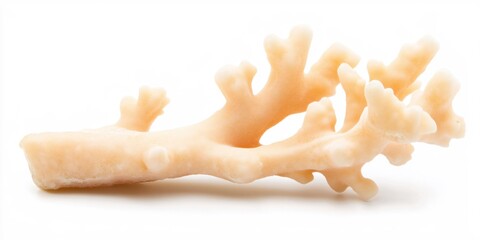 Poster - Elegant Pale Coral Branch Isolated White Background Natural Ocean Decor