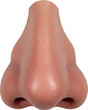 © AC's Inspired Images - human nose and nostril, face part, skin and anatomy, isolated transparent png
