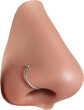 © AC's Inspired Images - human nose and nostril, face part, skin and anatomy, isolated transparent png