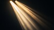 © Farida - White and golden beams of bright light shining on black background