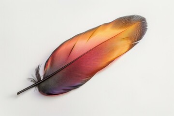 Poster - Colorful feather with orange and purple hues lying on a white background